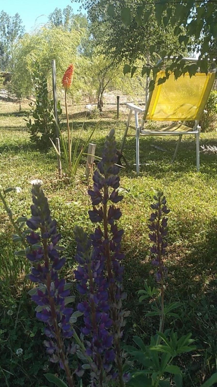 Chalet Surenya El Bolson